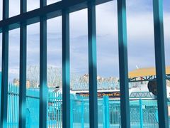 -海合安武汉极地海洋公园