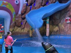 -烟台海昌鲸鲨海洋公园