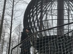 -黄海国家森林公园
