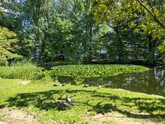 -北海道厅旧本厅舍(旧本庁舎)