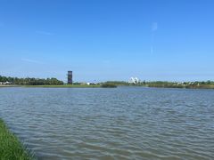 -春花秋色城市公园