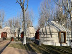 -九十九顶毡房(阜石路店)