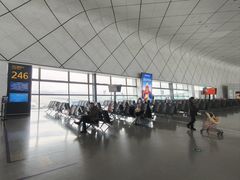 -郑州新郑国际机场-T2航站楼