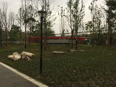 -神仙树公园