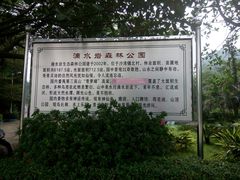 -滴水岩森林公园