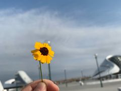 -哈尔滨大剧院