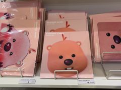-KAKAO FRIENDS(弘大店)