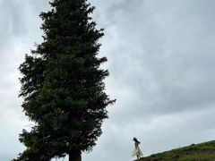 -新疆那拉提国家旅游度假区