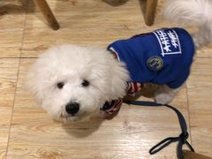 -四姑娘山阿巴郎·藏式花园餐厅