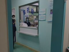 -北京观赏动物医院·24小时大型综合·猫专科·异宠专科