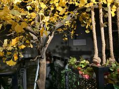 -别院里音乐餐酒吧(双流航空港店)