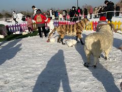 -绿野森林乐园冰雪季