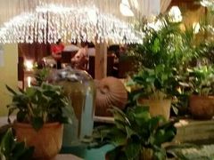 大堂-润园四季椰子鸡火锅(海上世界店)
