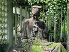 -杭州植物园
