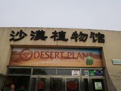 -石家庄市植物园