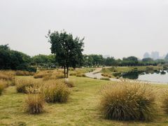 -眉山湿地公园(东坡区)