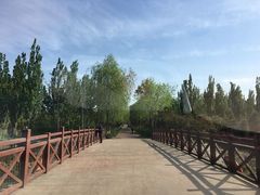 -大兴滨河森林公园