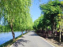-广富林郊野公园