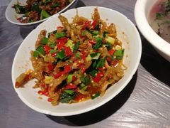 鸭掌筋-壹盏灯(惠农店)