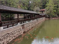 -冠豸山景区