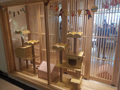 -猫腻·猫咖·撸猫馆(星光大道店)