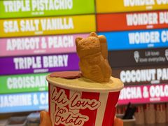-莉莉熊Lililove Gelato (意大利手工冰淇淋)