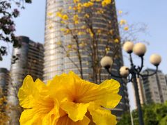 -洲头咀公园