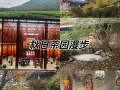 -中国茶叶博物馆(双峰馆区)