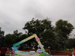 -铁山坪森林公园