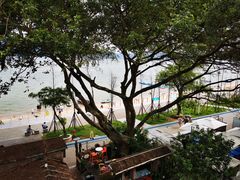 -城墙外BAR