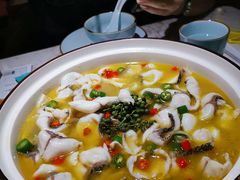 -青花椒花椒鱼(合生汇店)