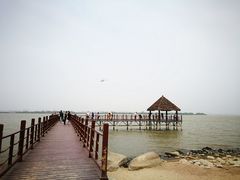 -瑶湖郊野森林公园