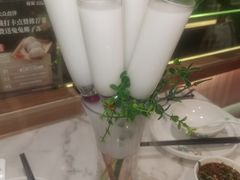 -探窝·竹笙椰子鸡(杨箕店)