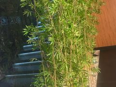 -新紫霞养生·影院足道·SPA(金山区店)