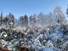 -瓦屋山景区