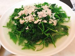 万秋楼上汤桑叶-万秋楼