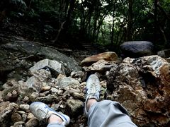 -梧桐山风景名胜区