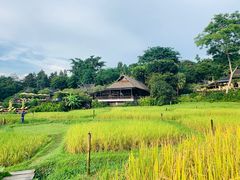 -四季酒店下午茶