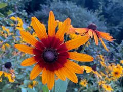 -长春公园(普阳街道)