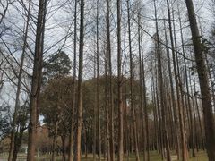 -新洲生态园
