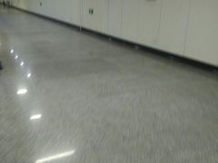 -杨高南路(地铁站)