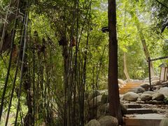 -三江森林温泉度假区