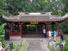 -中山公园