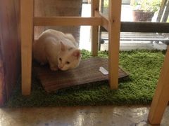 iphone_upload_pic-MIKAKU(万达广场上海宝山店)