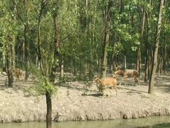 -溱湖国家湿地公园