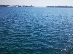 -蜜糖海滩
