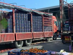 -东方鼎信农副产品交易中心