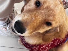 -怪兽屋·羊驼·猫咖·狗咖(俊华广场店)