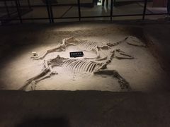 -洛阳周王城天子驾六博物馆