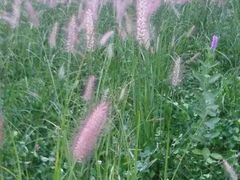 -北京雁栖湖国际会展中心